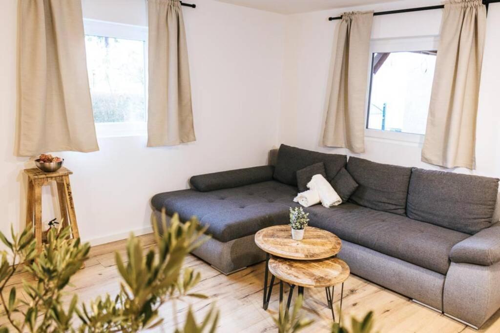 The Cozy Studio Apartment Lauf Lauf an der Pegnitz Exterior photo